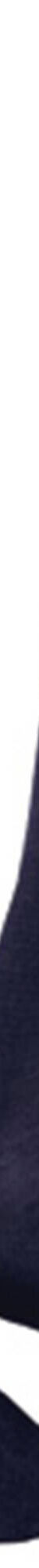 Chaussettes laine effet massant - lot de 2 paires (marine) Chaussettes laine effet massant - lot de 2 paires (marine)